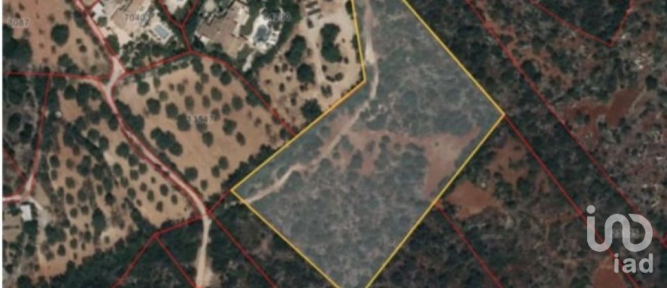 Land in Loulé (São Sebastião) of 10,480 m²