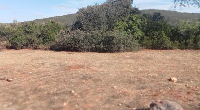 Land in Loulé (São Sebastião) of 10,480 m²