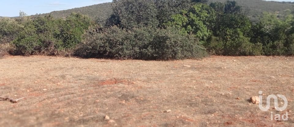 Land in Loulé (São Sebastião) of 10,480 m²