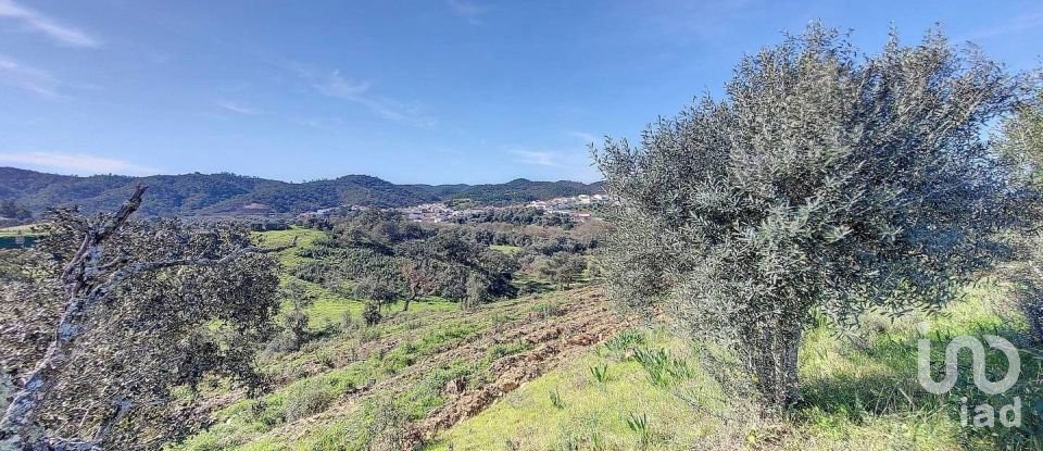 Terreno em São Marcos da Serra de 28 440 m²