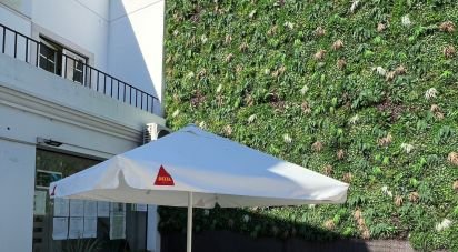 Boutique/Local commercial à Santo António dos Olivais de 65 m²