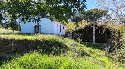 Gîte T2 à Midões de 52 m²