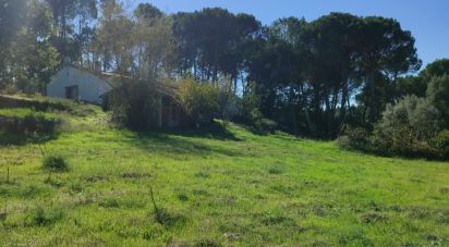 Gîte T2 à Midões de 52 m²