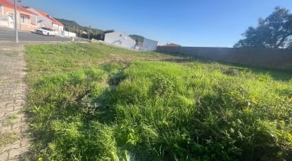 Building plot in Lamas e Cercal of 804 m²