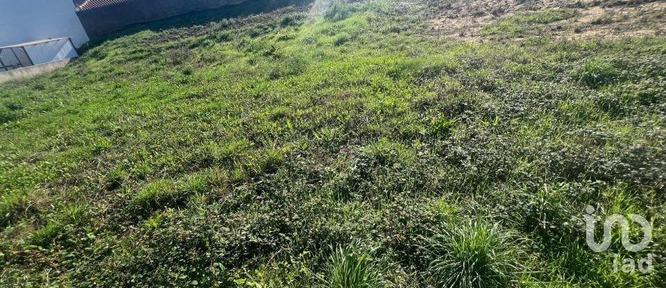 Building plot in Lamas e Cercal of 804 m²