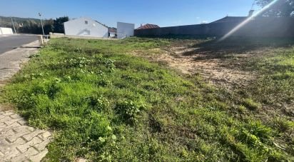 Building plot in Lamas e Cercal of 804 m²