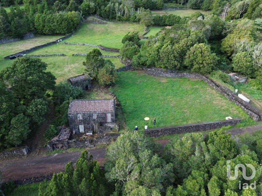 Maison traditionnelle T0 à Ribeiras de 140 m²