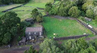 Maison traditionnelle T0 à Ribeiras de 140 m²