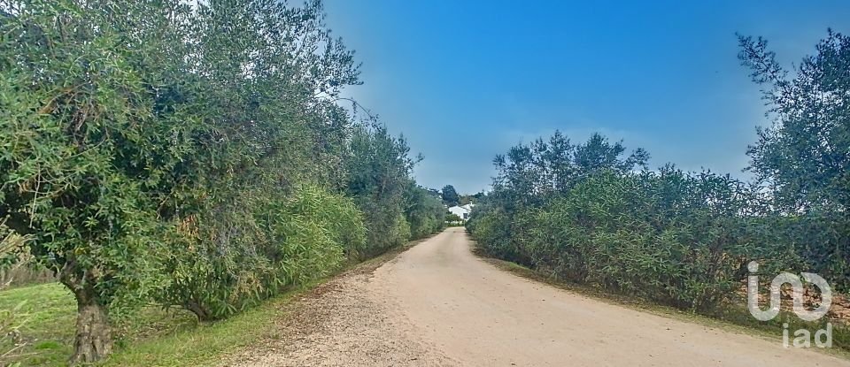 Farm T13 in Monsaraz of 957 m²