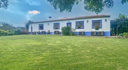 Farm T13 in Monsaraz of 957 m²