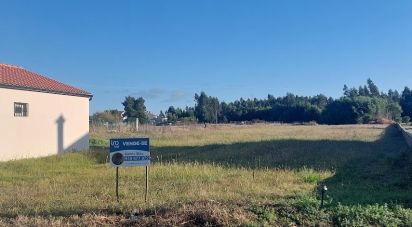 Land in Mira of 3,665 m²