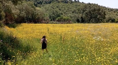 Terrain agricole à Igreja Nova e Cheleiros de 3 125 m²