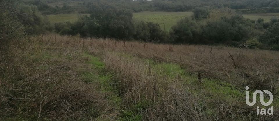 Terrain agricole à Igreja Nova e Cheleiros de 3 125 m²