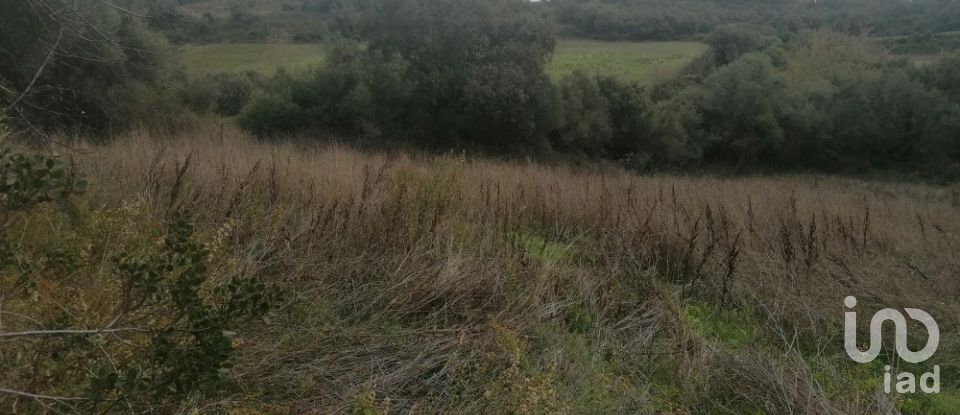 Terrain agricole à Igreja Nova e Cheleiros de 3 125 m²