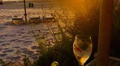 Restaurant à Costa da Caparica de 240 m²
