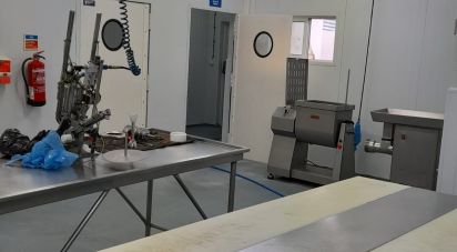 Pavillon T0 à Vila Nova de São Bento e Vale de Vargo de 200 m²