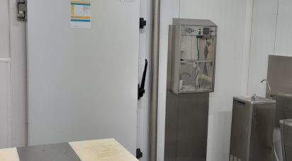 Pavillon T0 à Vila Nova de São Bento e Vale de Vargo de 200 m²