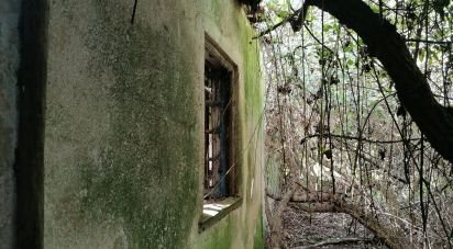 Maison rustique T2 à Caxarias de 50 m²