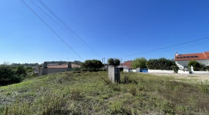 Terrain à bâtir à Asseiceira de 4 640 m²