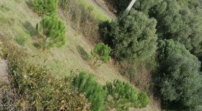 Terrain agricole à Igreja Nova e Cheleiros de 14 250 m²