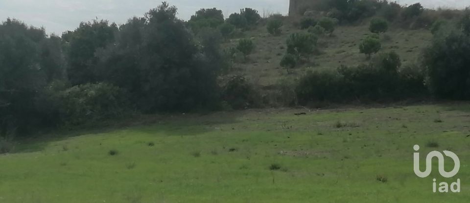 Terreno rústico em Igreja Nova e Cheleiros de 14 250 m²