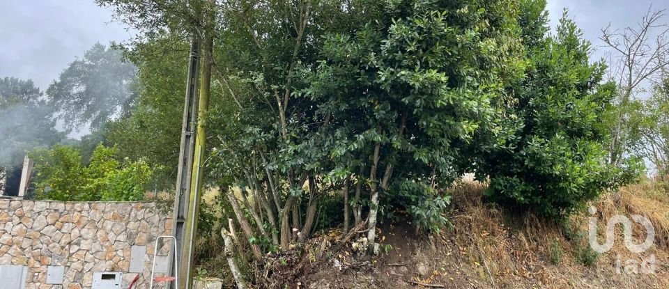 Terreno em Nossa Senhora das Misericórdias de 800 m²