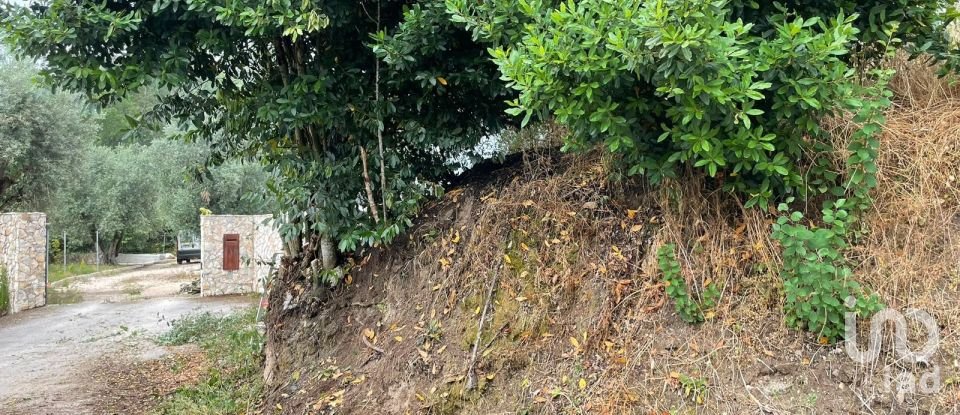 Terreno em Nossa Senhora das Misericórdias de 800 m²