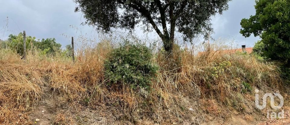 Terreno em Nossa Senhora das Misericórdias de 800 m²