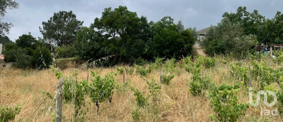Terreno em Nossa Senhora das Misericórdias de 800 m²