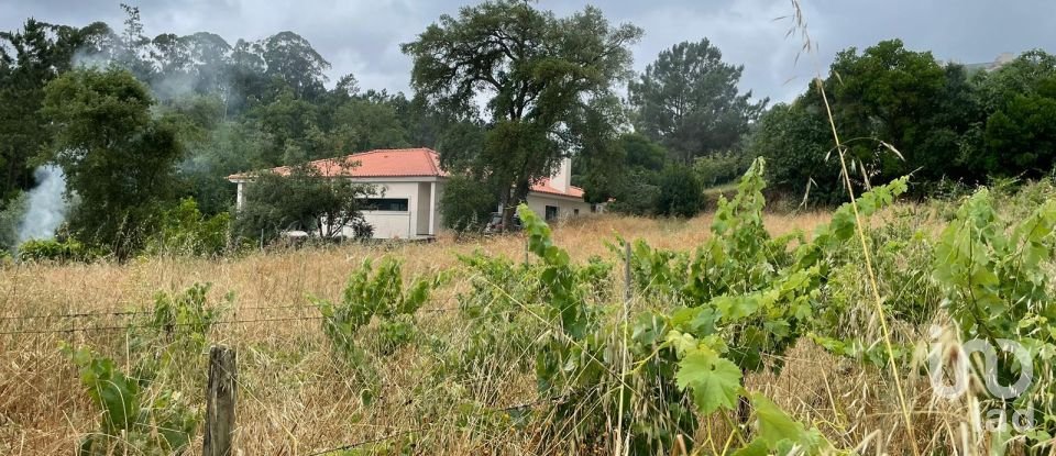 Terreno em Nossa Senhora das Misericórdias de 800 m²