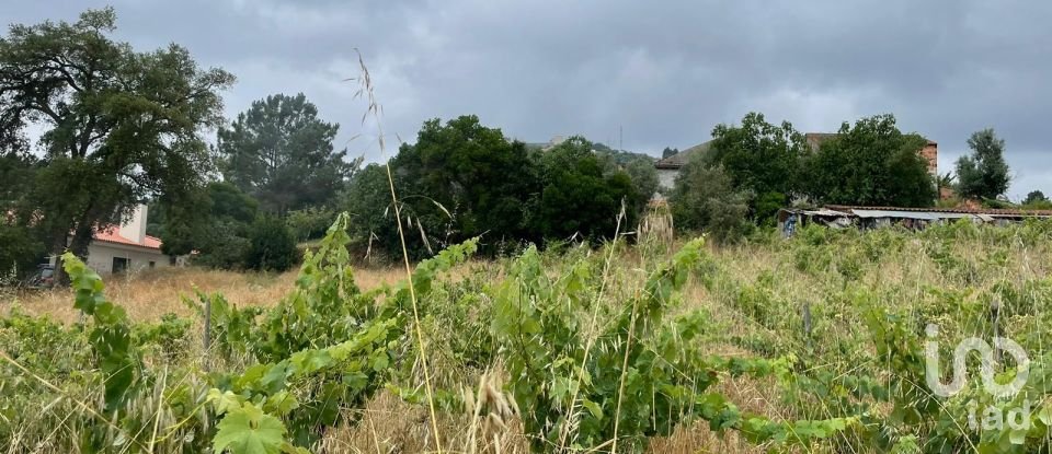 Terreno em Nossa Senhora das Misericórdias de 800 m²
