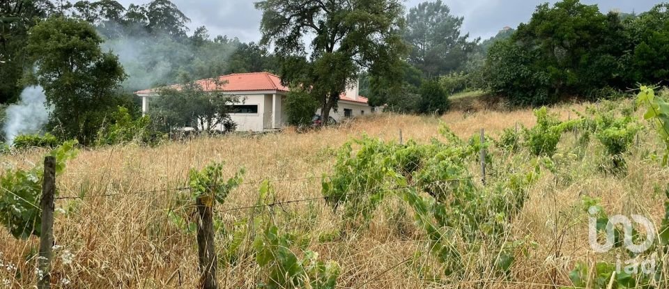 Terreno em Nossa Senhora das Misericórdias de 800 m²