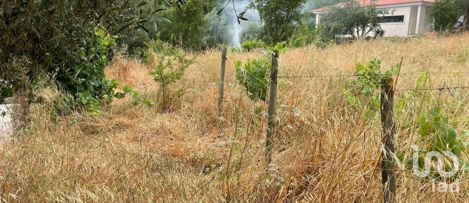 Terreno em Nossa Senhora das Misericórdias de 800 m²