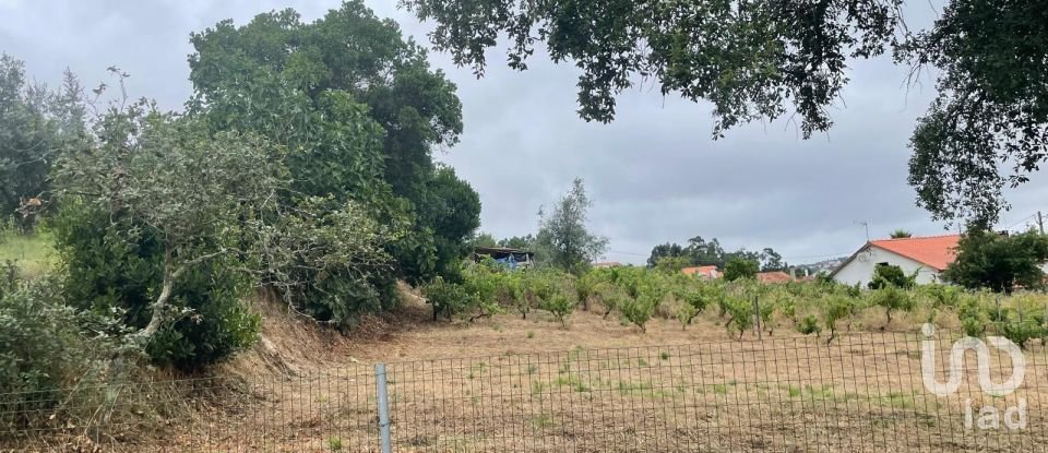 Terreno em Nossa Senhora das Misericórdias de 800 m²