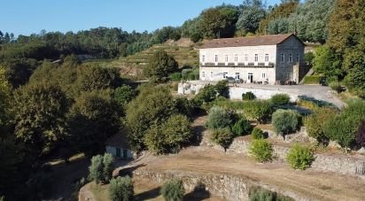 Ferme T11 à Parada de Gonta de 800 m²