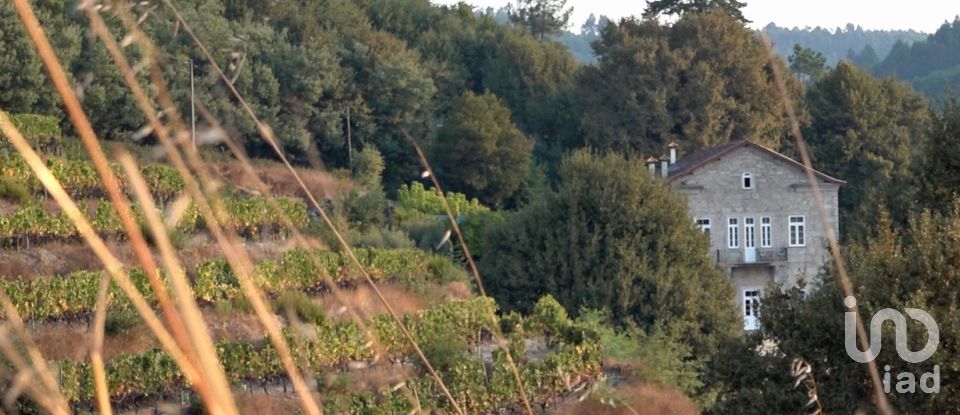 Farm T11 in Parada de Gonta of 800 m²