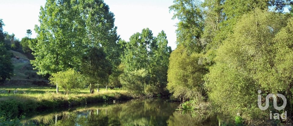 Farm T11 in Parada de Gonta of 800 m²