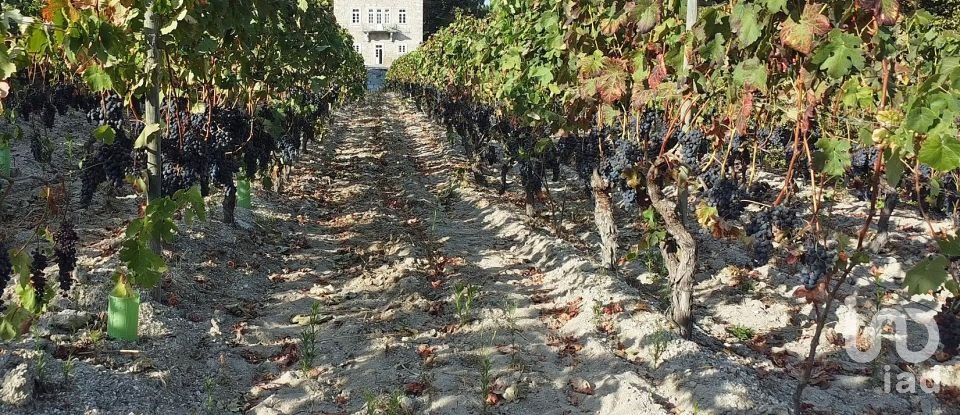 Farm T11 in Parada de Gonta of 800 m²