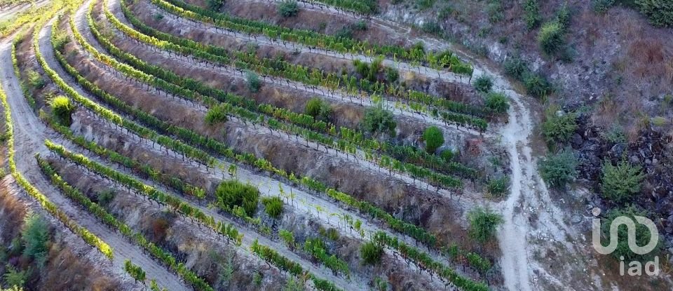 Farm T11 in Parada de Gonta of 800 m²