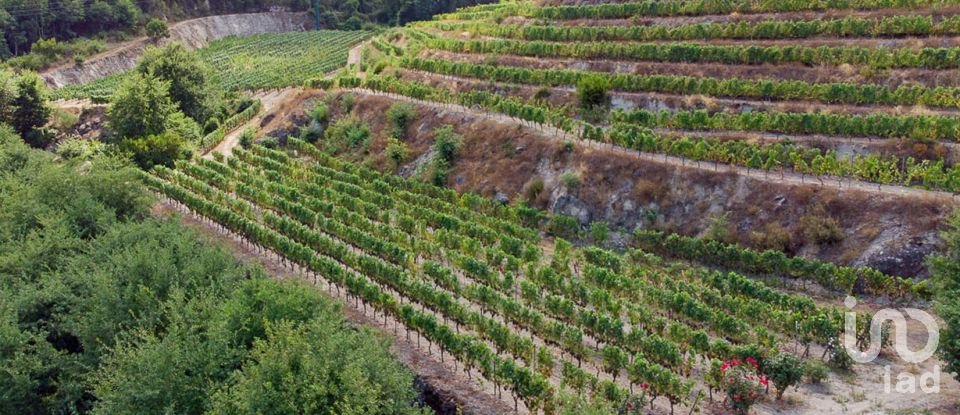 Farm T11 in Parada de Gonta of 800 m²