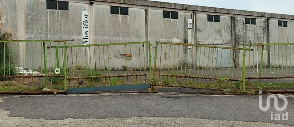 Boutique/Local commercial à Queluz e Belas de 6 235 m²