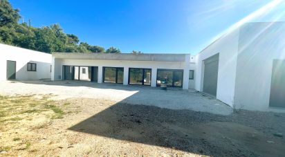 Gîte T4 à Santarém (Marvila), Santa Iria Da Ribeira De Santarém, Santarém (São Salvador) E Santarém (São Nicolau) de 508 m²