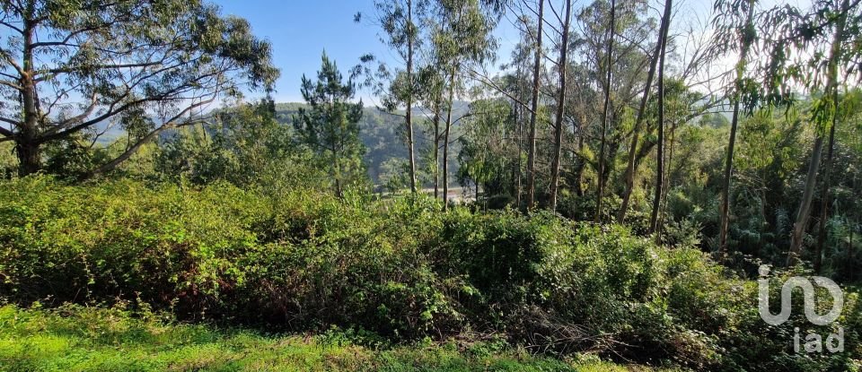 Terreno em Mafra de 5 857 m²