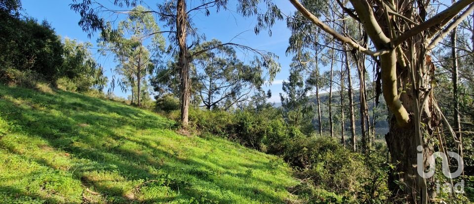 Terreno em Mafra de 5 857 m²