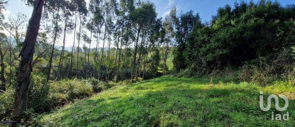 Terreno em Mafra de 5 857 m²