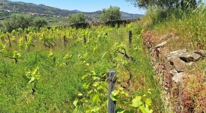 Terrain à Tabuaço de 1 650 m²