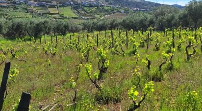 Terrain à Tabuaço de 1 650 m²