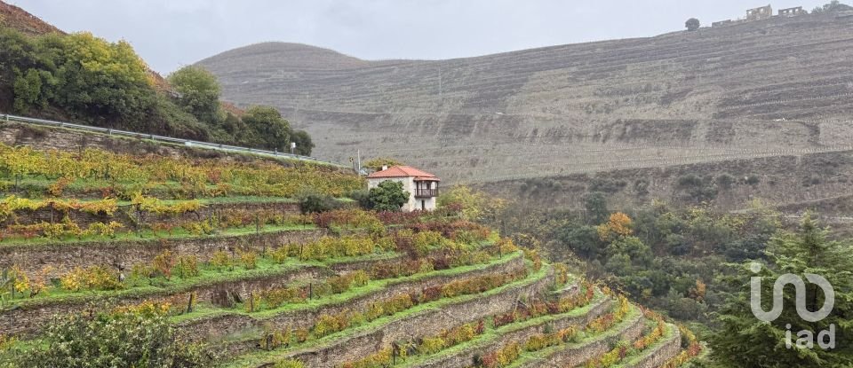 Ferme T1 à Tabuaço de 108 m²
