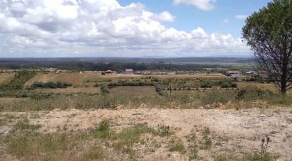 Terrain à bâtir à Maiorca de 1 799 m²