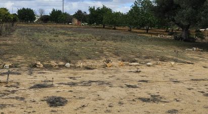 Land in Boliqueime of 2,170 m²